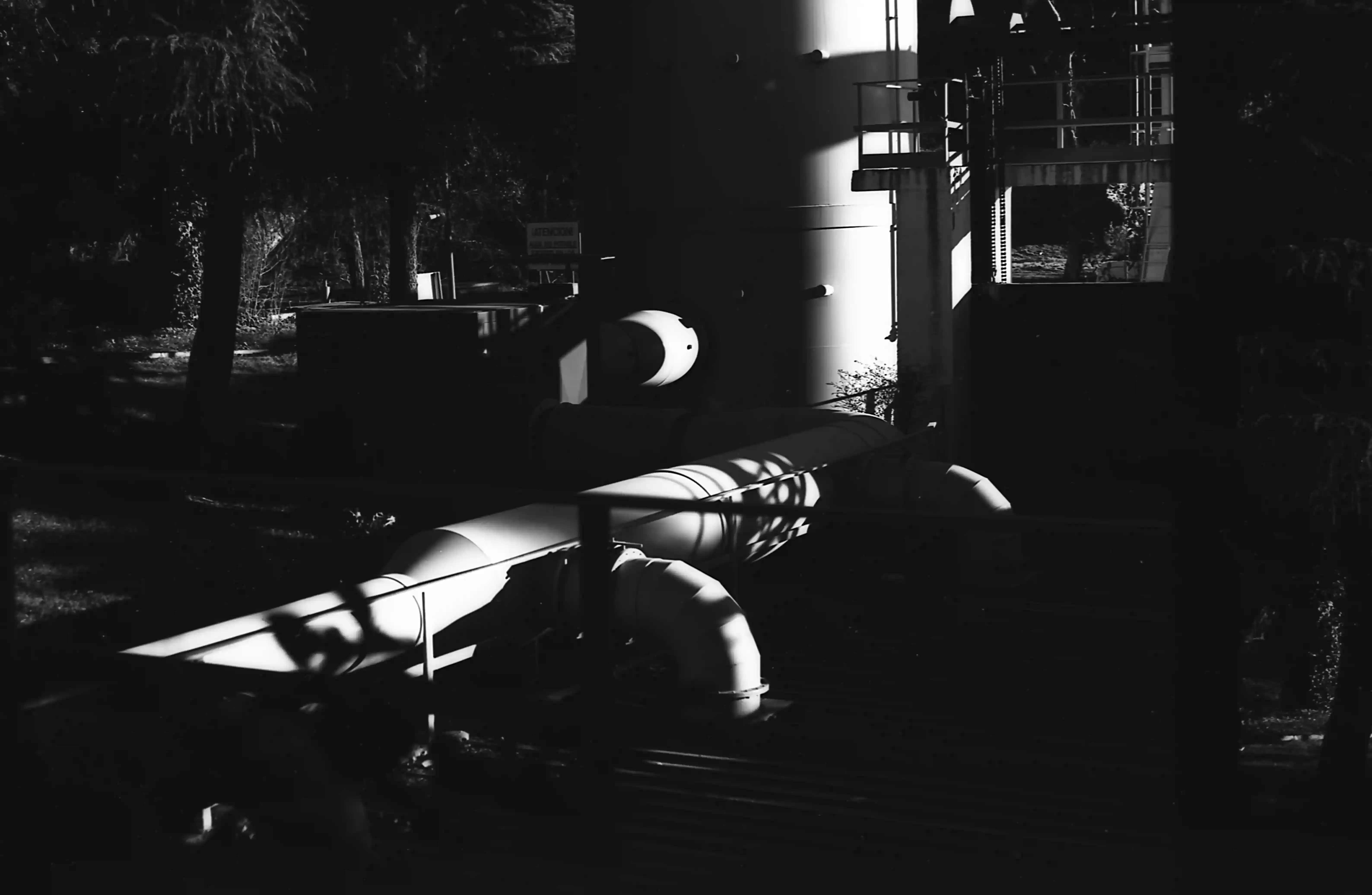 Fotografía analógica con pentax k1000 en Madrid