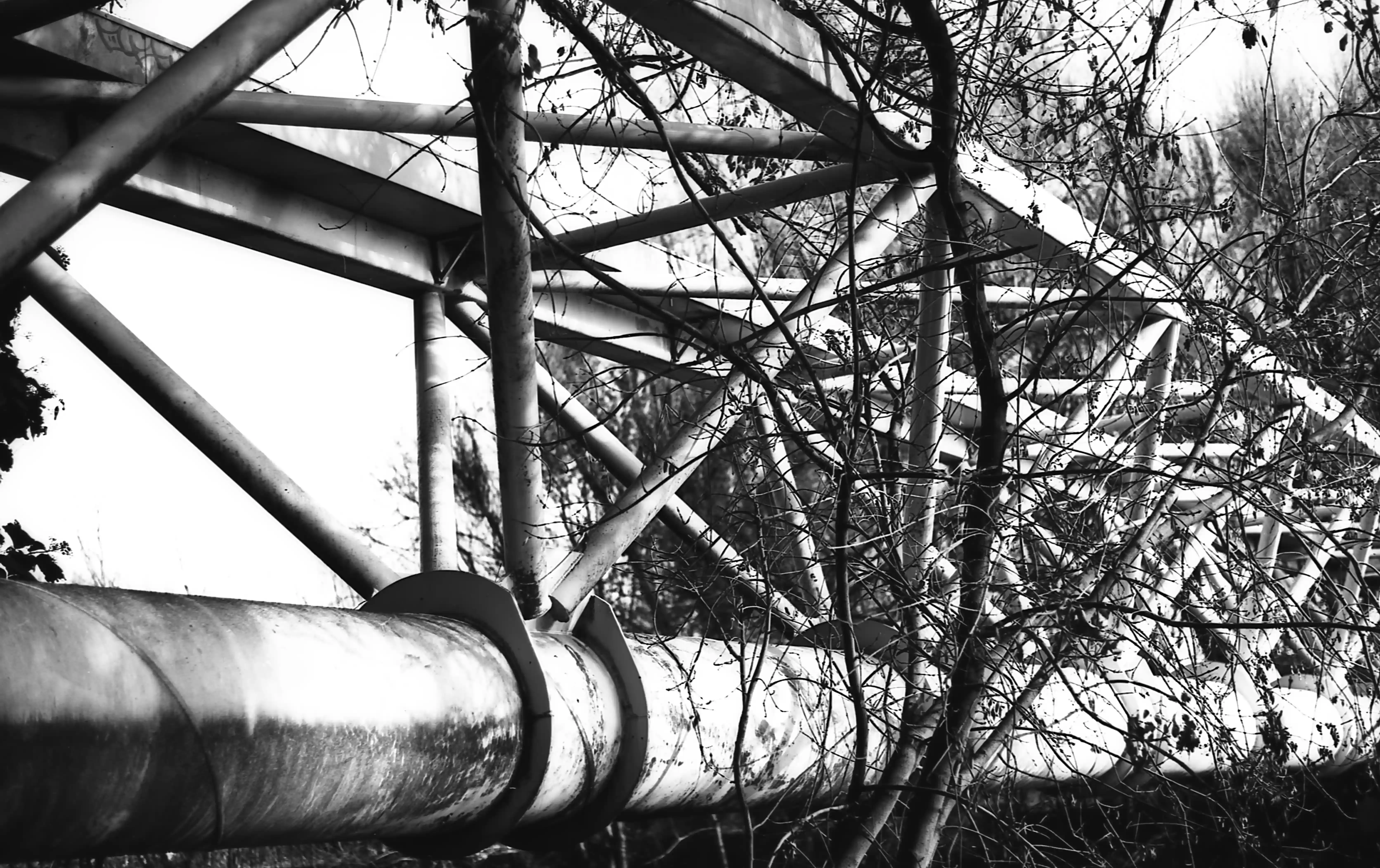 Fotografía analógica con pentax k1000 en Madrid