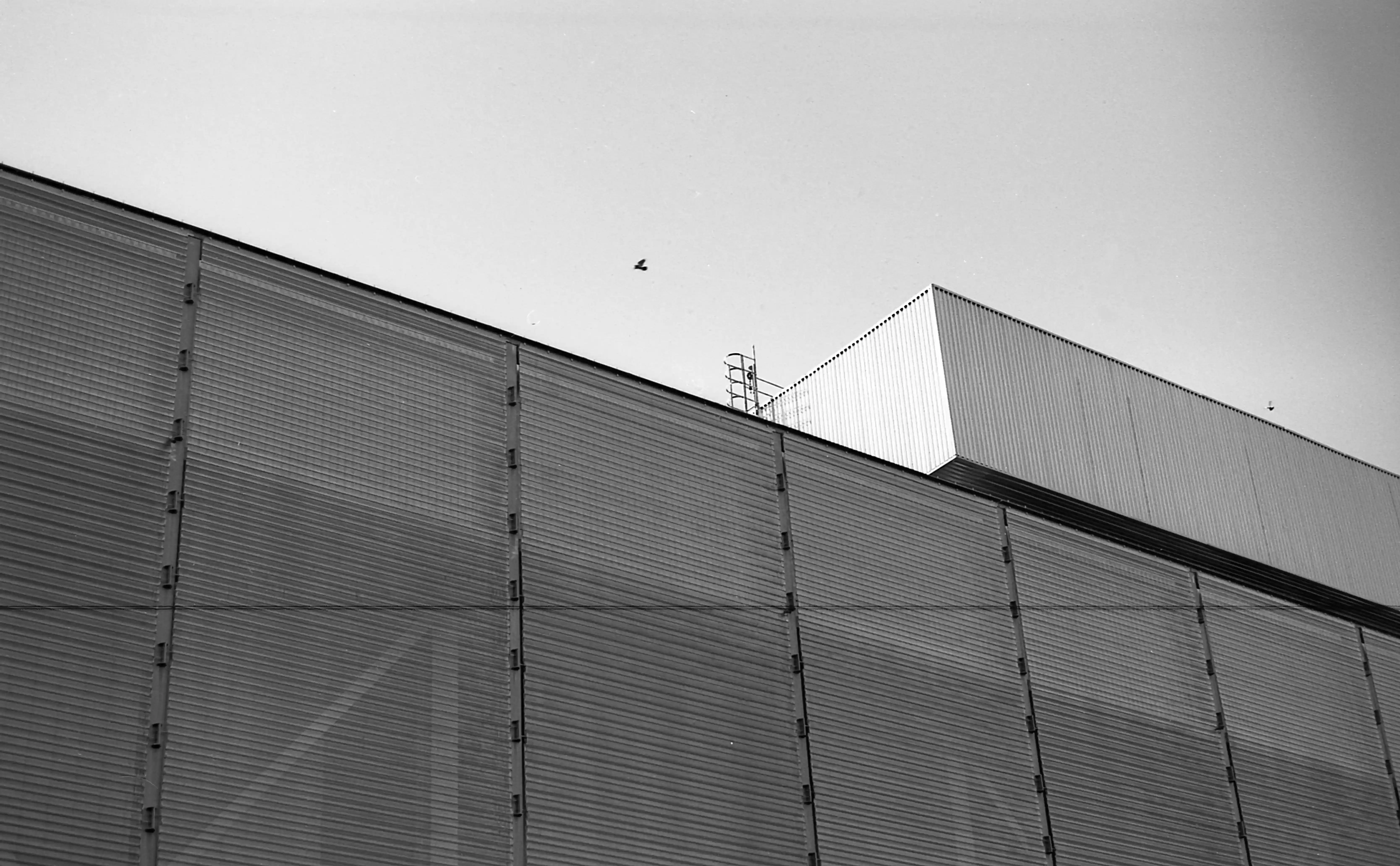 Fotografía analógica con pentax k1000 en Madrid