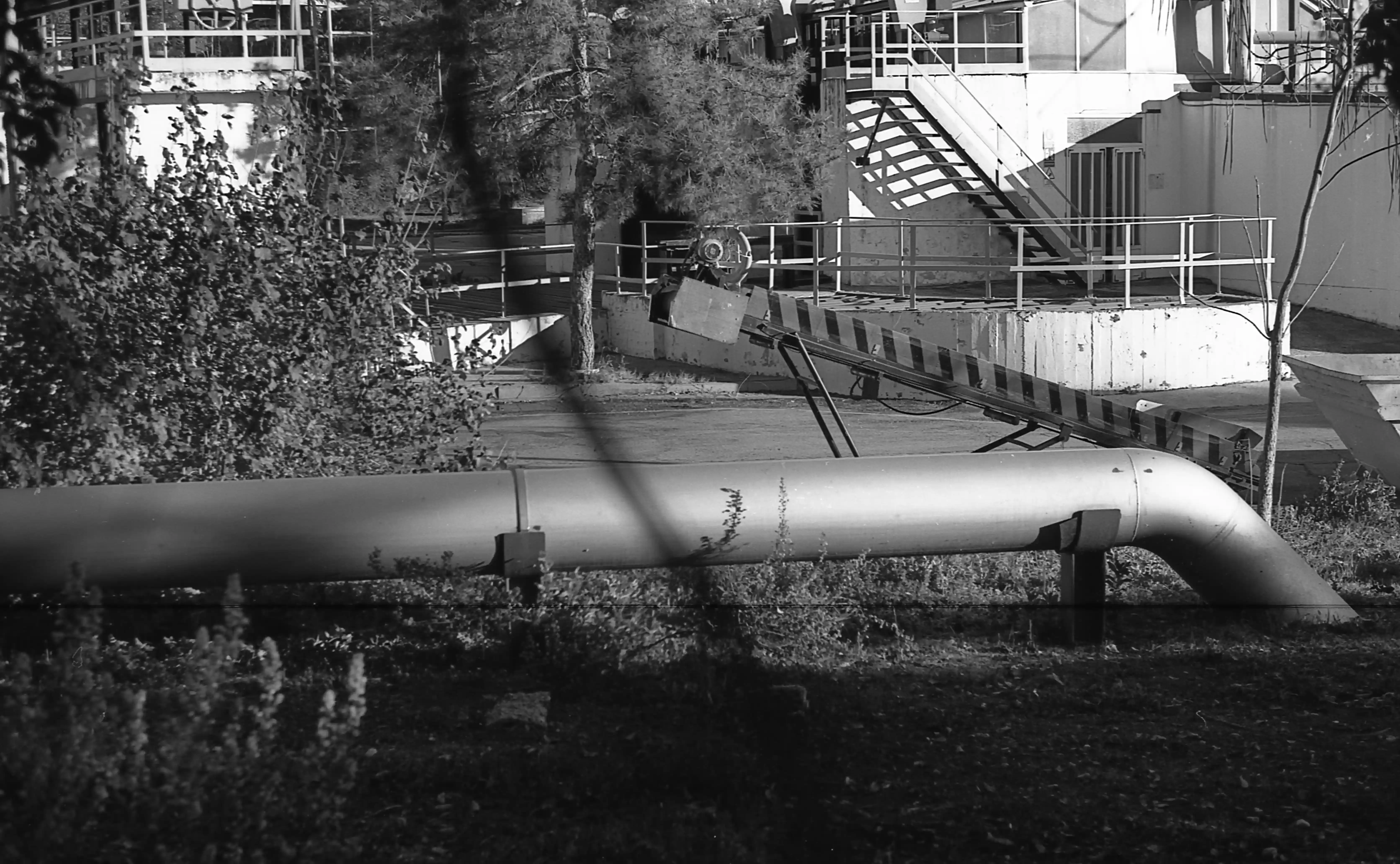 Fotografía analógica con pentax k1000 en Madrid