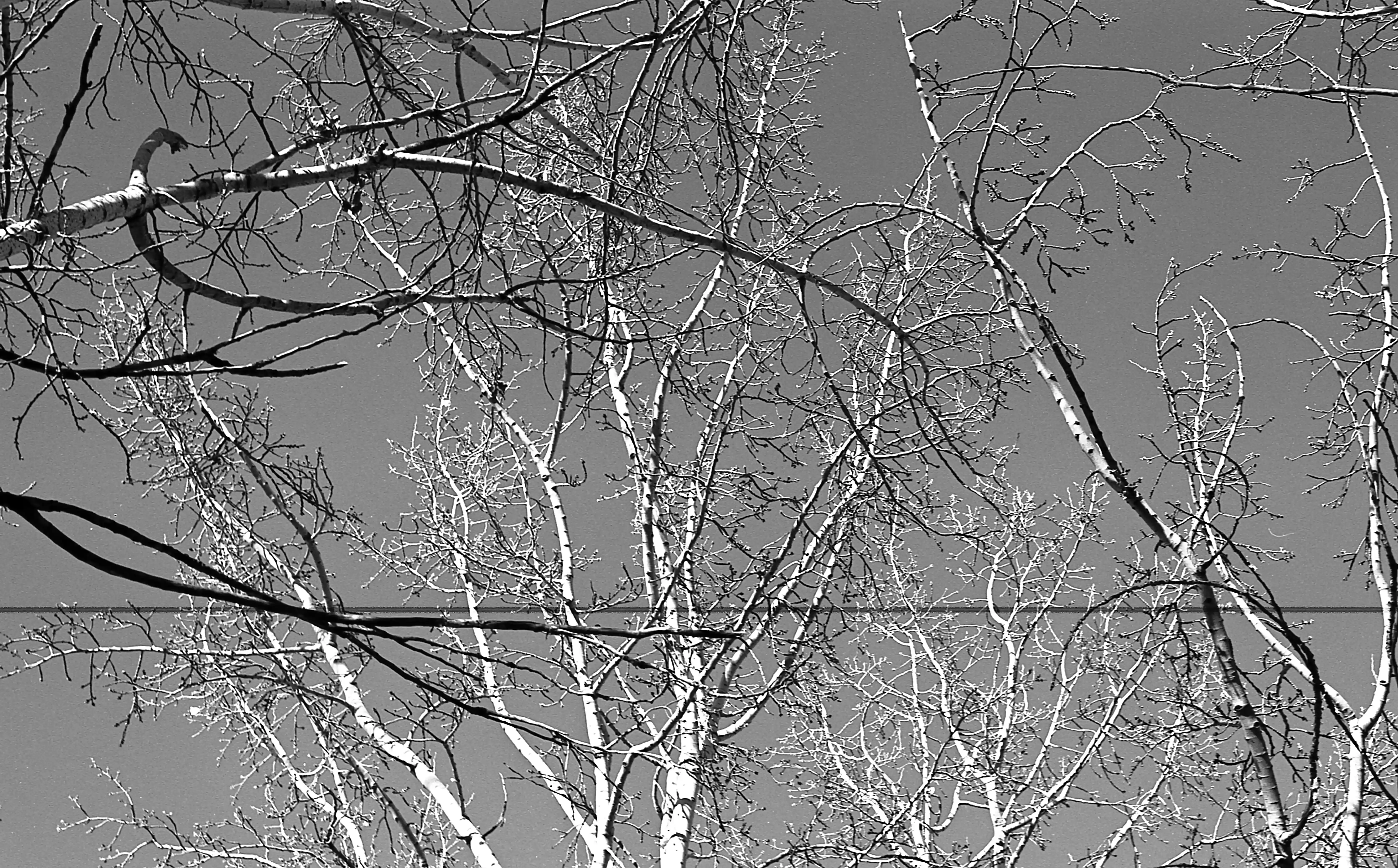 Fotografía analógica con pentax k1000 en Madrid