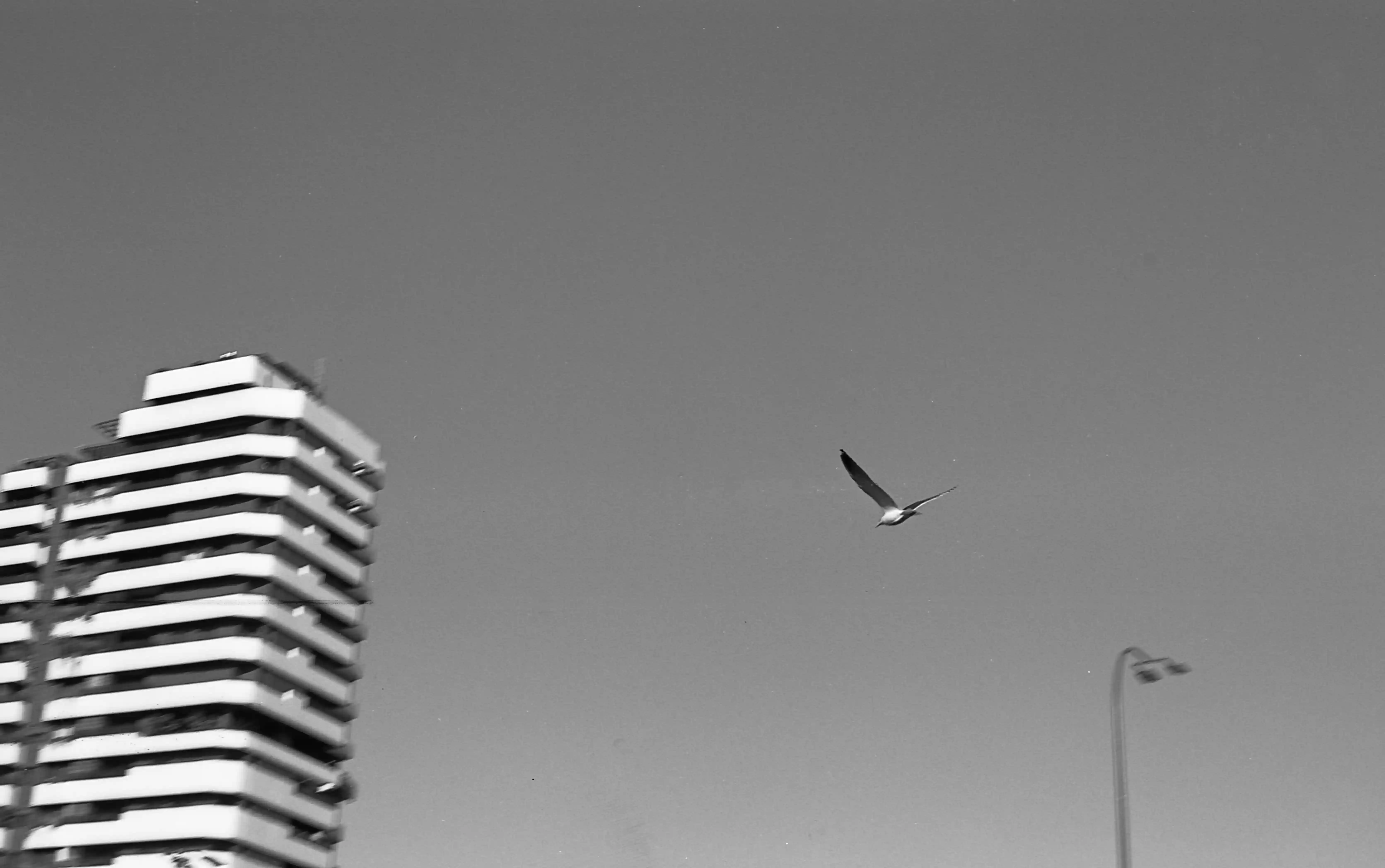 Fotografía analógica con pentax k1000 en Madrid