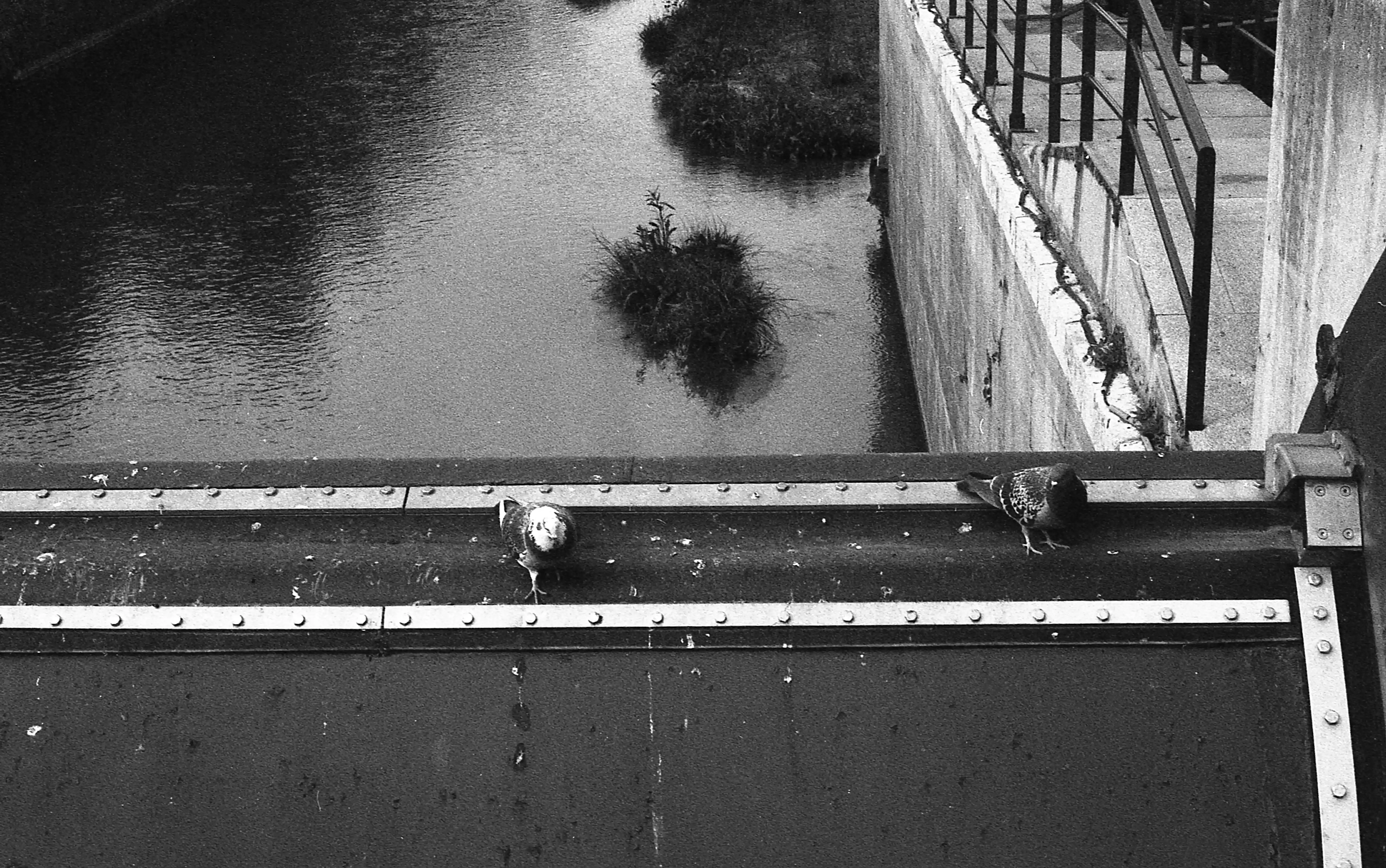 Fotografía analógica con pentax k1000 en Madrid