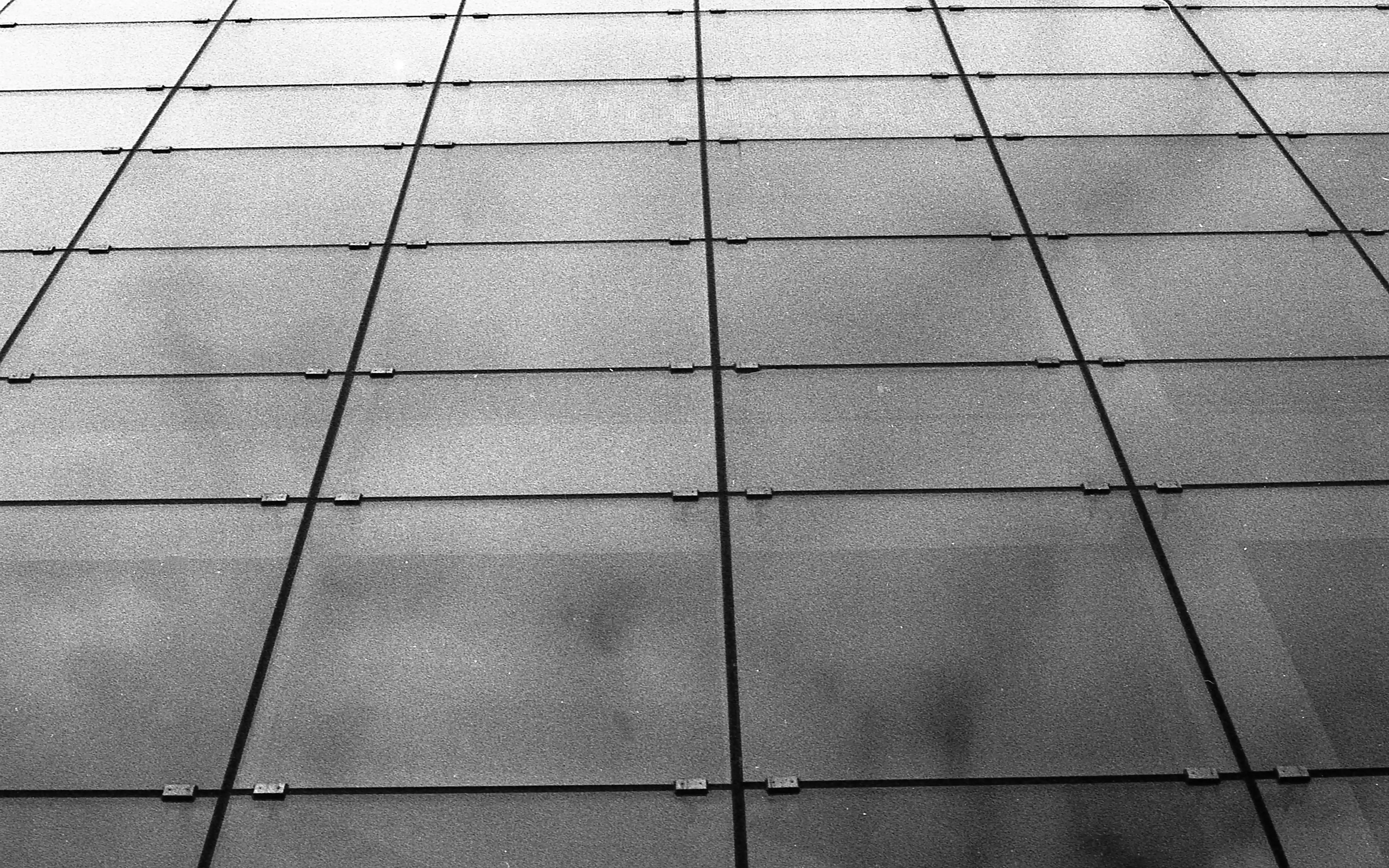 Fotografía analógica con pentax k1000 en Madrid