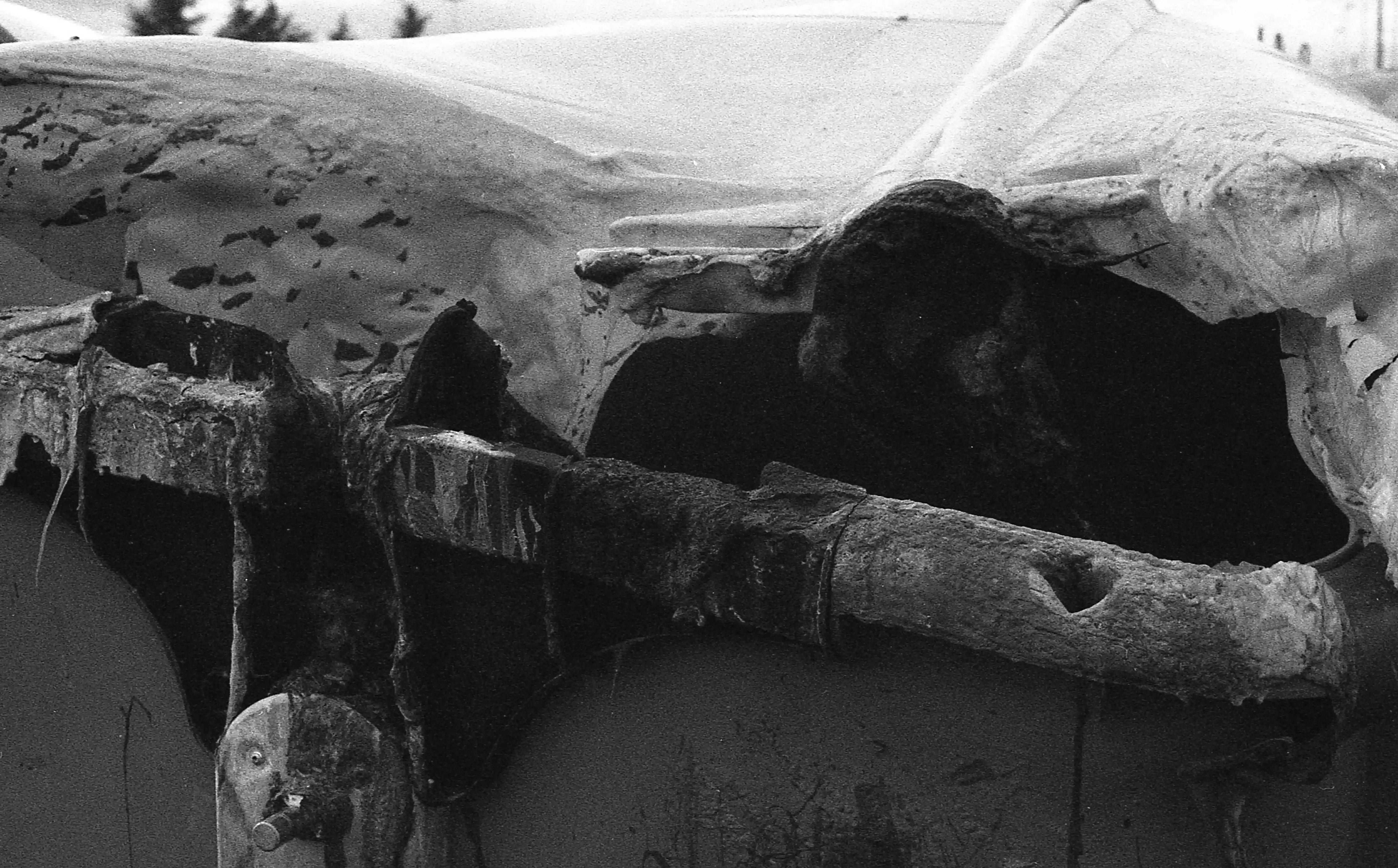 Fotografía analógica con pentax k1000 en Madrid