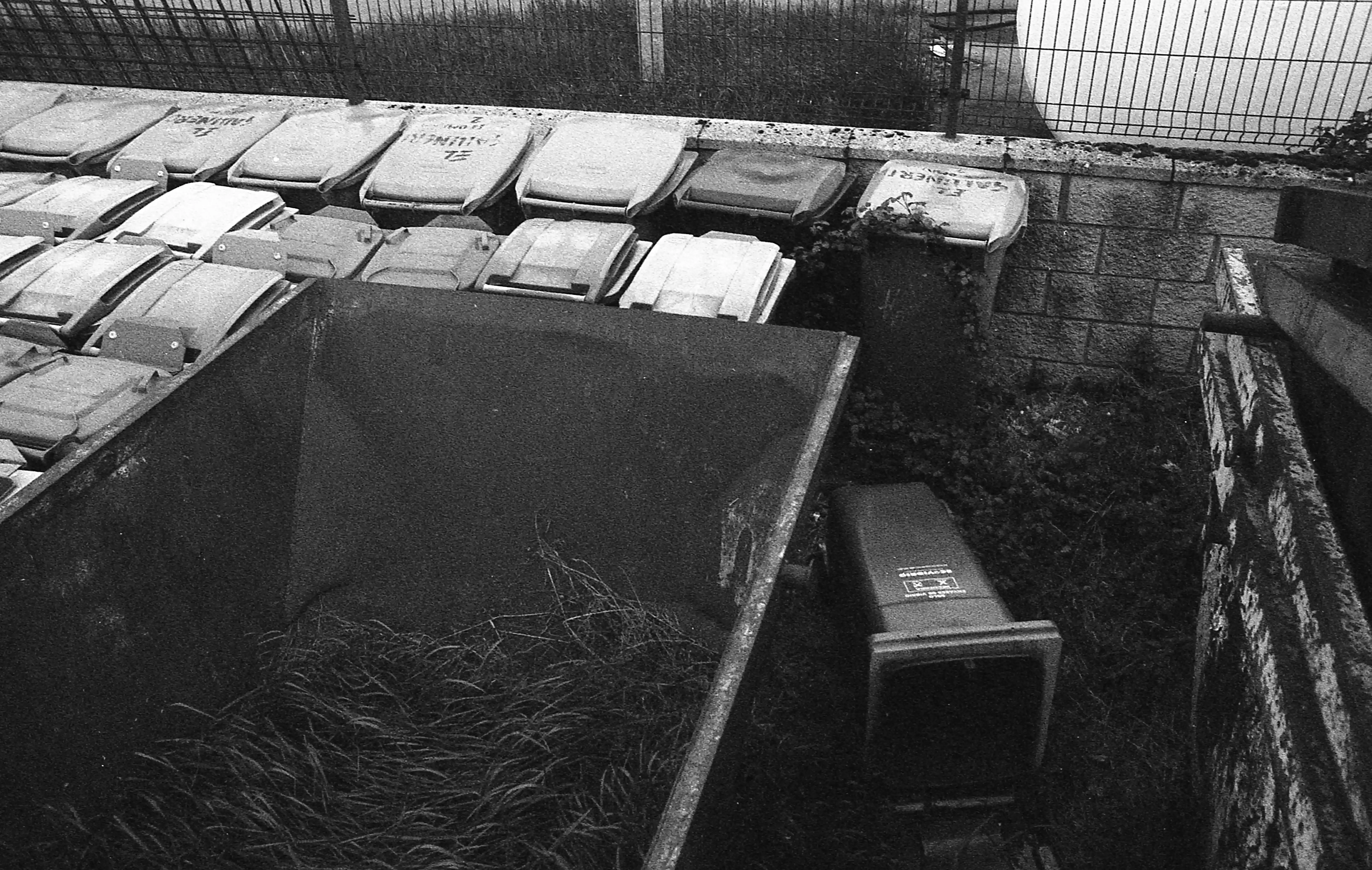 Fotografía analógica con pentax k1000 en Madrid