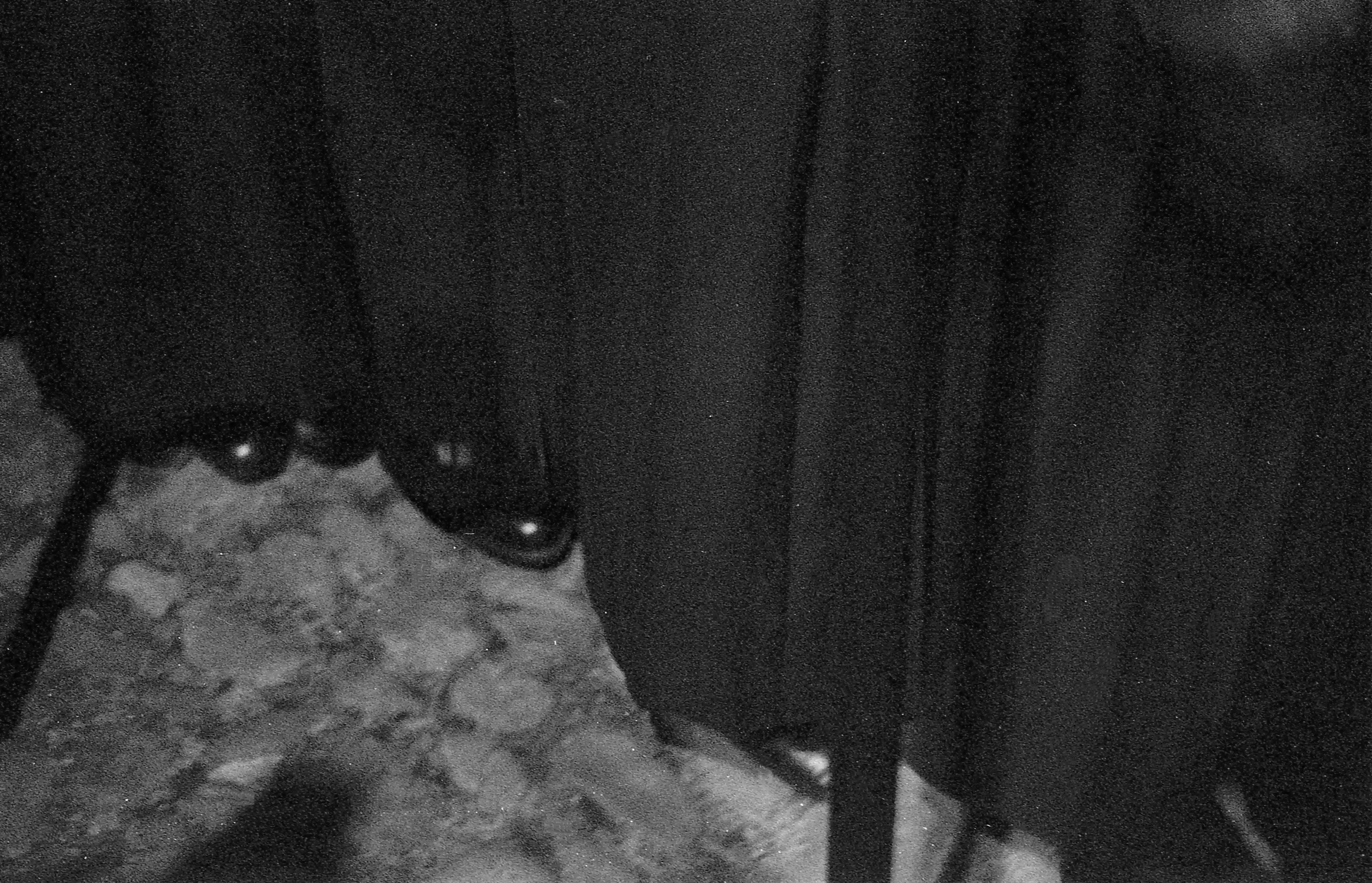 Fotografía blanco y negro Semana Santa León 